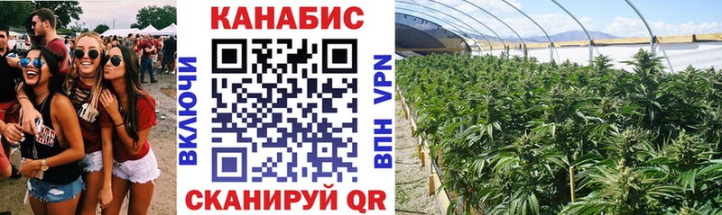 Бошки Шишки OG Kush  где купить наркоту  мега ТОР  Туапсе 
